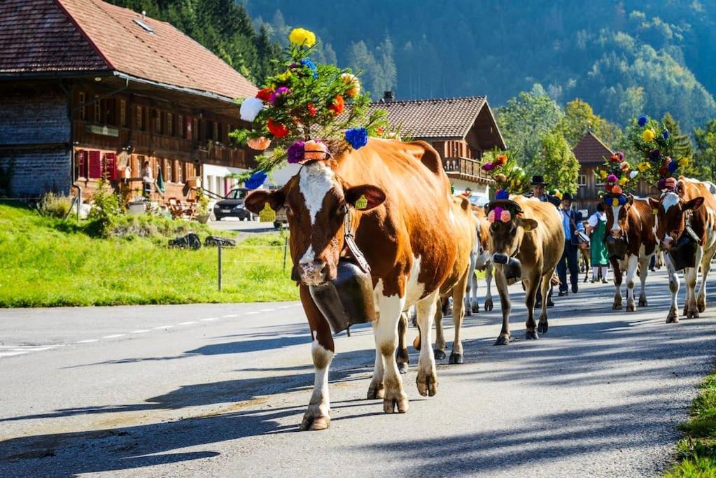 Confortable Chalet Avec Magnifique Vue En Gruyere. Charmey Dış mekan fotoğraf