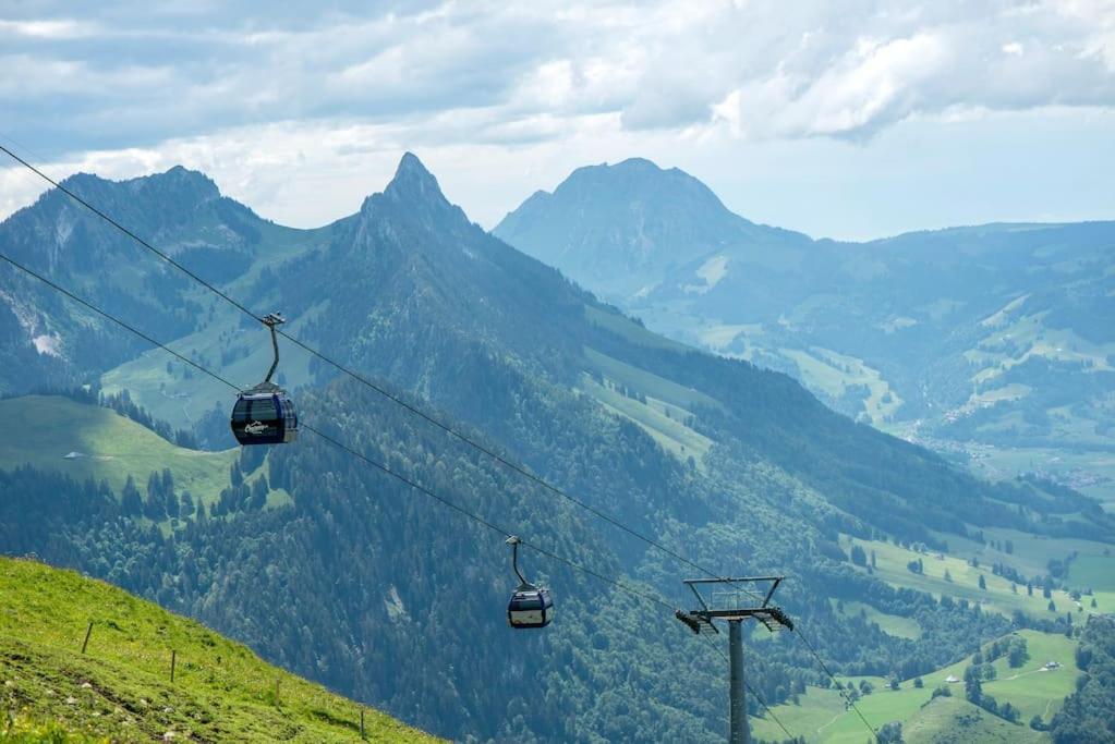 Confortable Chalet Avec Magnifique Vue En Gruyere. Charmey Dış mekan fotoğraf